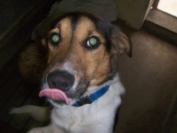 Baxter