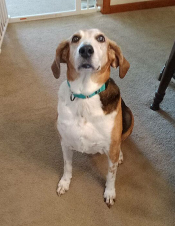Bonnie