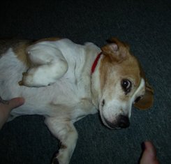 Charlie