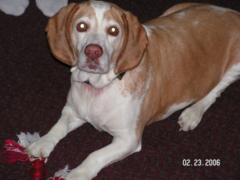 Copper