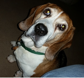 Lucy