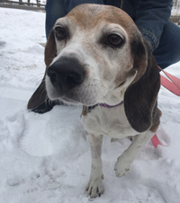 Maggie