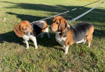 Max & Molly
