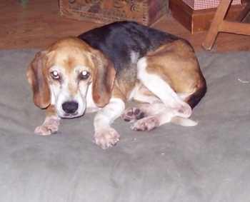 Millie