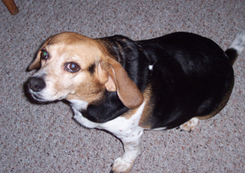 Molly