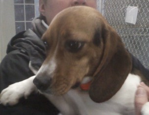 Molly