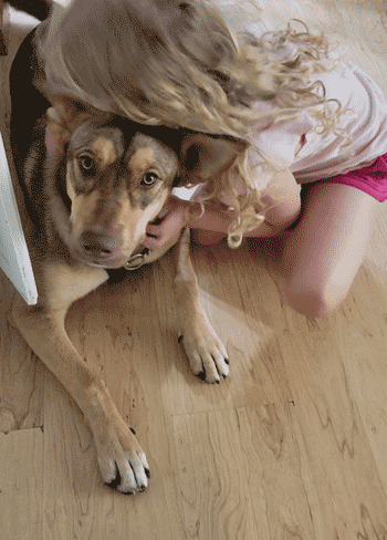 Roo