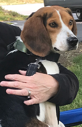 Rosie