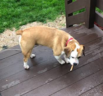Ruby