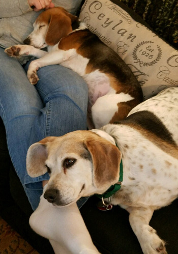 Stella & Maggie