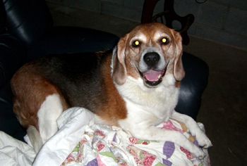 Suzie