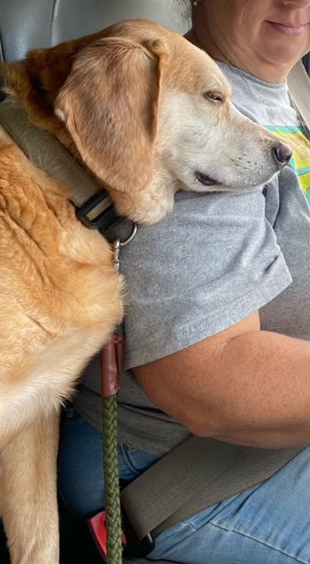 Toby