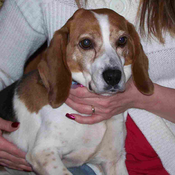 Wilma