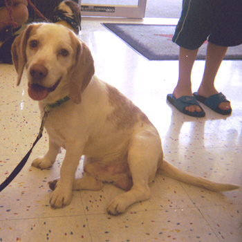 Dudley