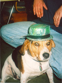 Bailey