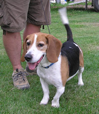 Baxter