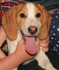 Beasley