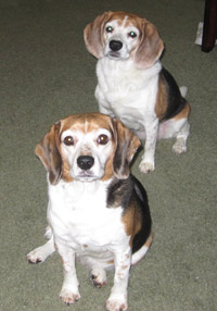 Bella & Lucy