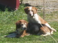Bo & Luke