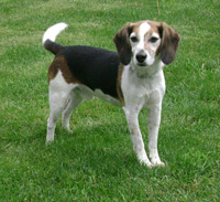 Cabela