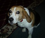 Charlie
