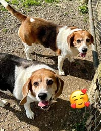 Darla & Delighla