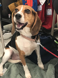 Delilah