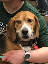 Duke