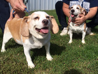 Gracie & Macie