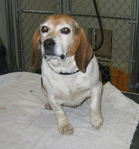 Maggie Mae