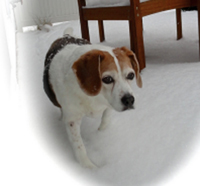 Millie