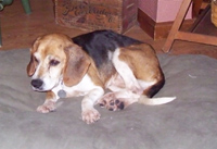 Millie