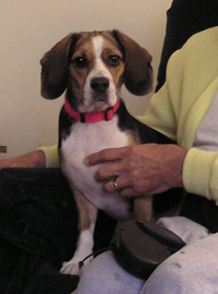 Molly