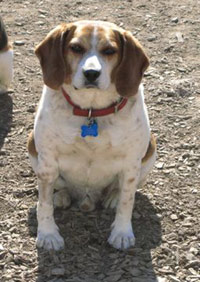 Murphy