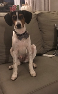 Oscar