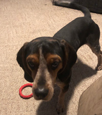 Shiloh