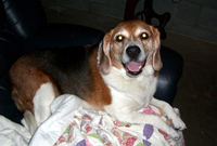 Suzie