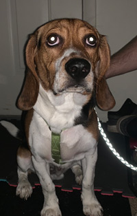 Tucker