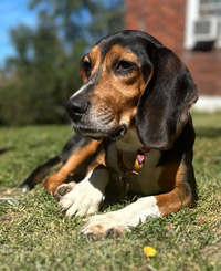 Vinnie