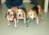 Sherry, Melissa and Cookie