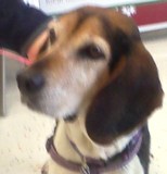 Betty
