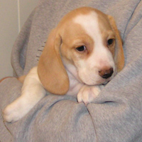 Buster