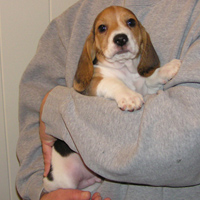 Charlie