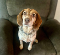 Maggie
