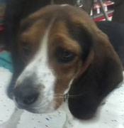 Sally